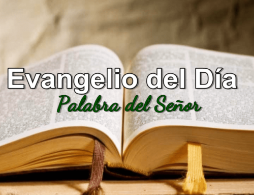 El Evangelio de hoy 19/10/2022